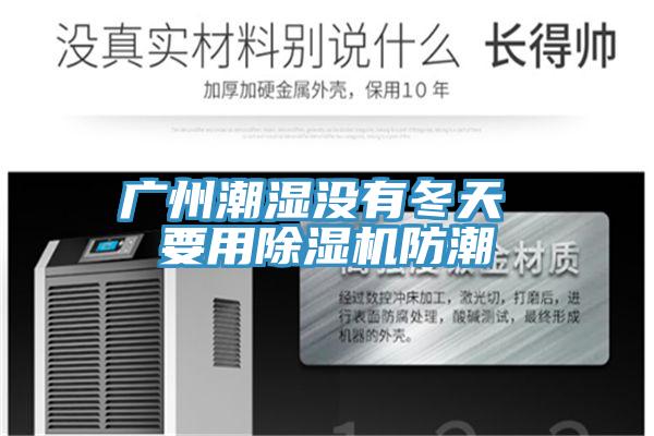 廣州潮濕沒有冬天 要用除濕機(jī)防潮