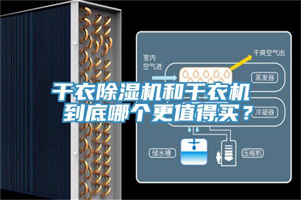 干衣除濕機和干衣機 到底哪個更值得買?