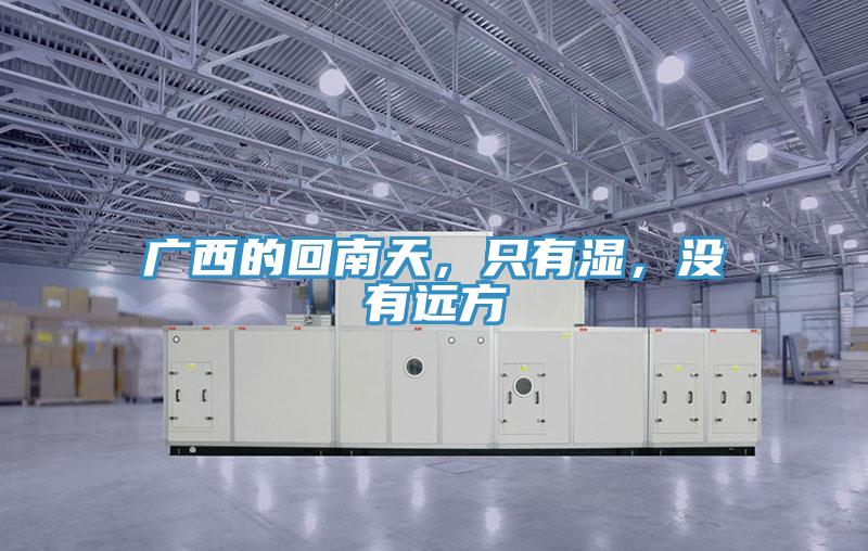 廣西的回南天,只有濕,沒有遠方