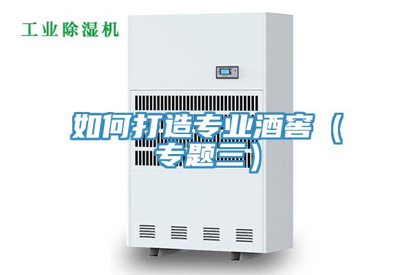 如何打造專業(yè)酒窖(專題三)