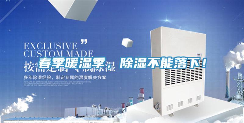 春季暖濕季,除濕不能落下!
