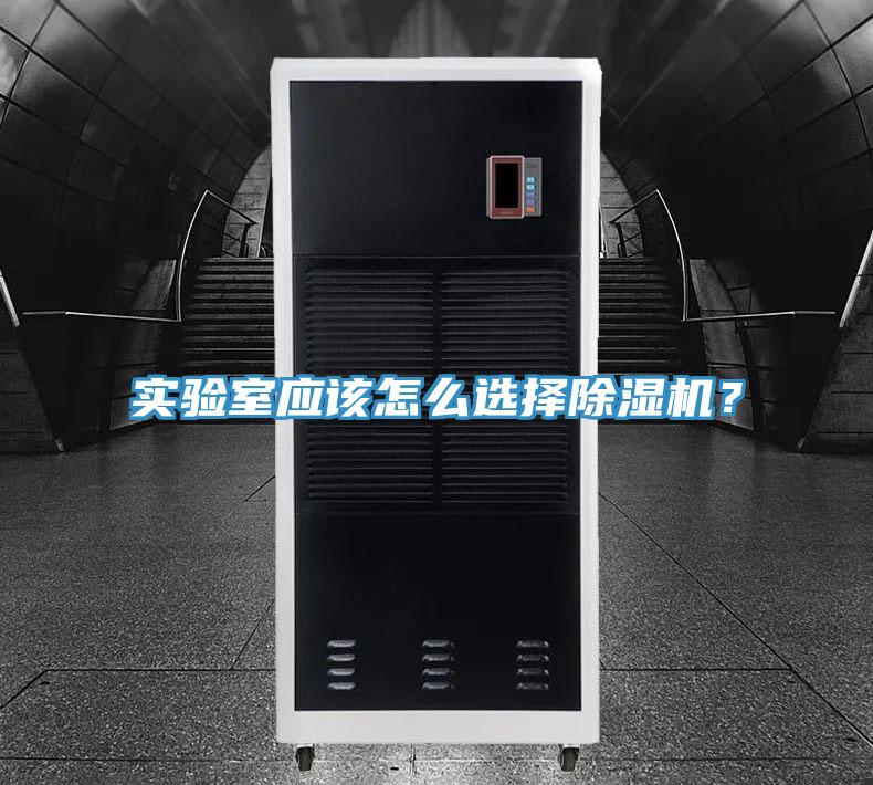實驗室應該怎么選擇除濕機?