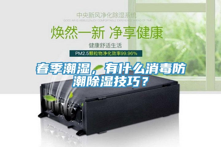 春季潮濕,有什么消毒防潮除濕技巧?