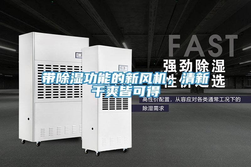 帶除濕功能的新風機,清新干爽皆可得