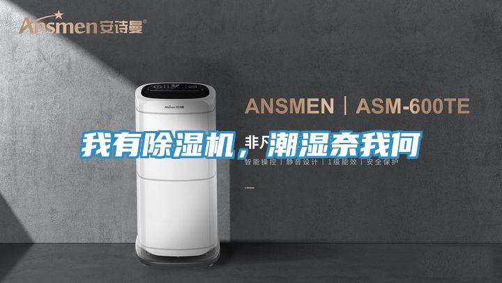 我有除濕機,潮濕奈我何