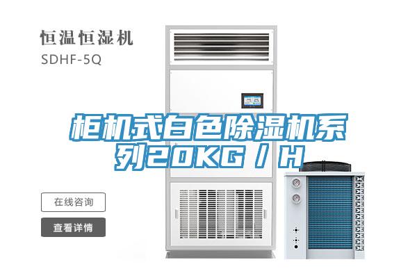 柜機式白色除濕機系列20KG／H