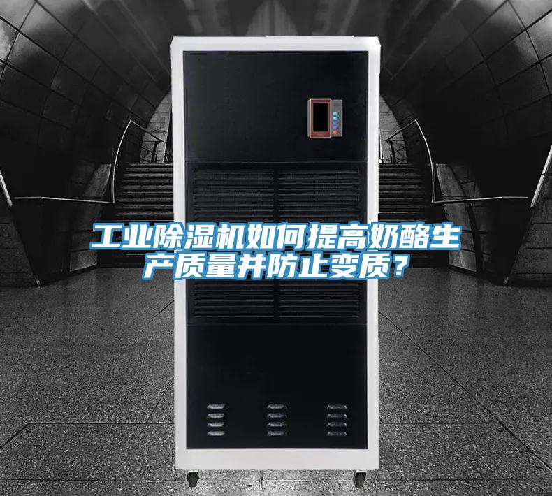 工業除濕機如何提高奶酪生產質量并防止變質?