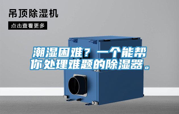 潮濕困難?一個能幫你處理難題的除濕器。