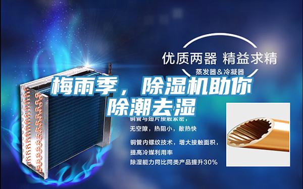 梅雨季，除濕機助你除潮去濕