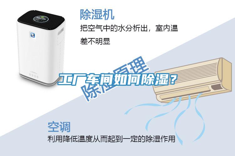 工廠車間如何除濕?