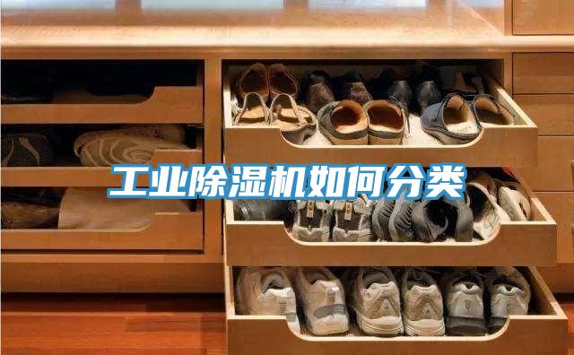 工業除濕機如何分類