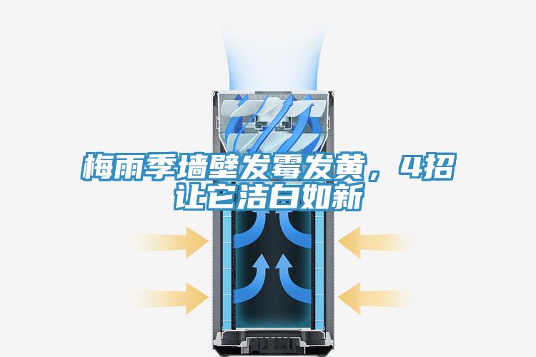 梅雨季墻壁發(fā)霉發(fā)黃，4招讓它潔白如新