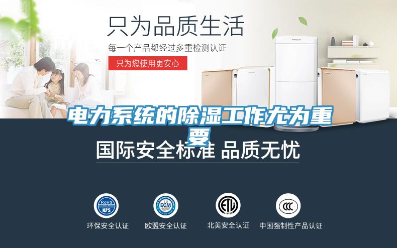 電力系統的除濕工作尤為重要