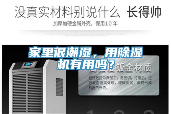 家里很潮濕,用除濕機有用嗎?
