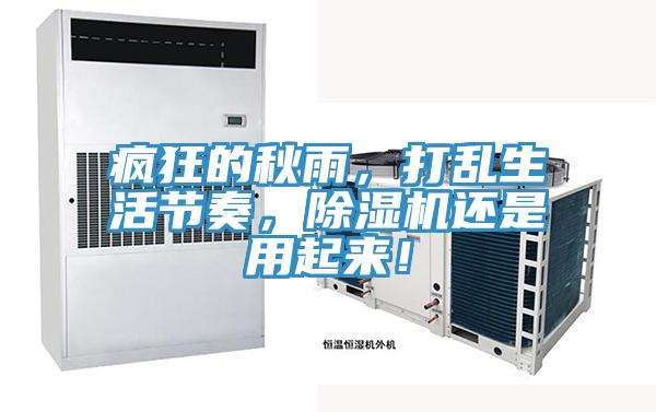 瘋狂的秋雨，打亂生活節(jié)奏，除濕機(jī)還是用起來！