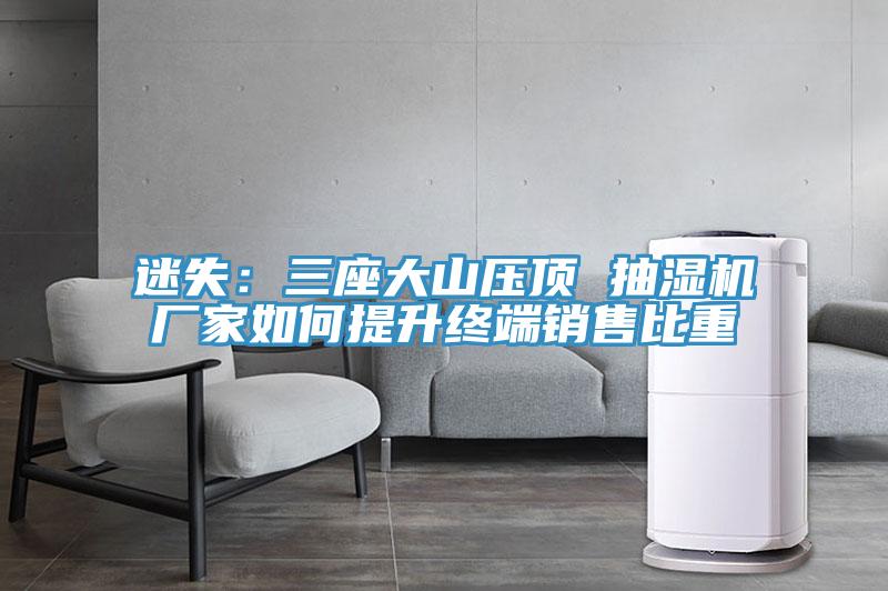 迷失：三座大山壓頂 抽濕機(jī)廠家如何提升終端銷售比重