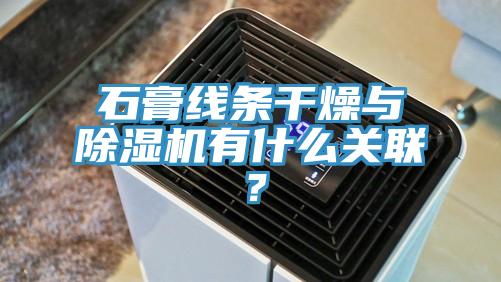 石膏線條干燥與除濕機(jī)有什么關(guān)聯(lián)?