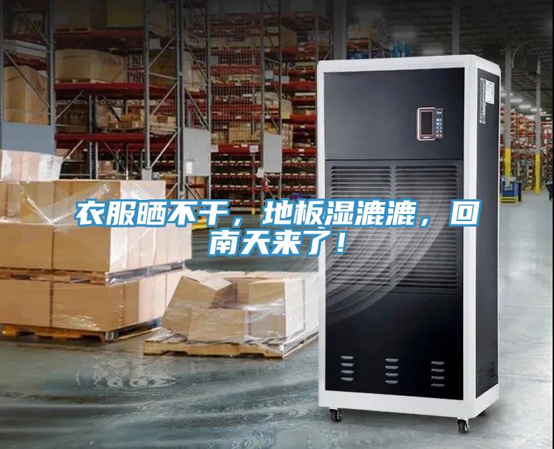 衣服曬不干,地板濕漉漉,回南天來了!