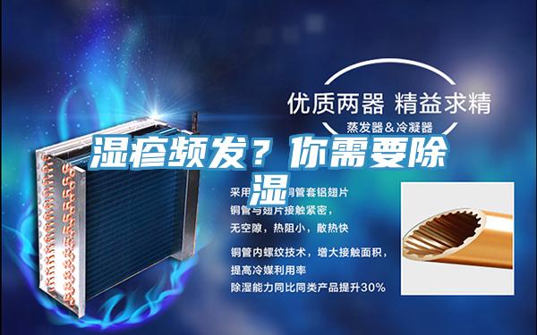 濕疹頻發(fā)?你需要除濕