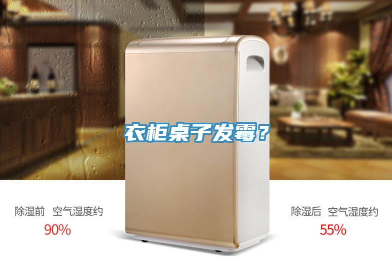 衣柜桌子發(fā)霉?