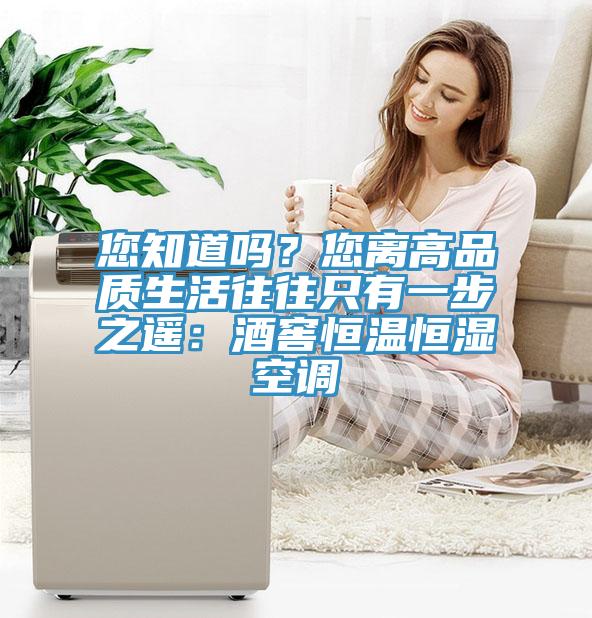 您知道嗎?您離高品質生活往往只有一步之遙:酒窖恒溫恒濕空調