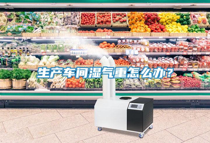 生產車間濕氣重怎么辦?