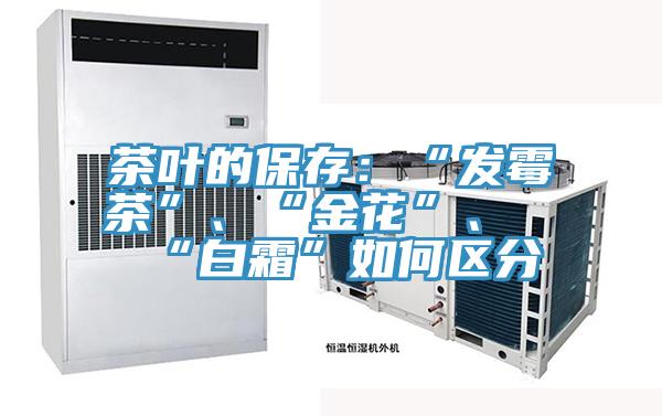 茶葉的保存:“發(fā)霉茶”、“金花”、“白霜”如何區(qū)分