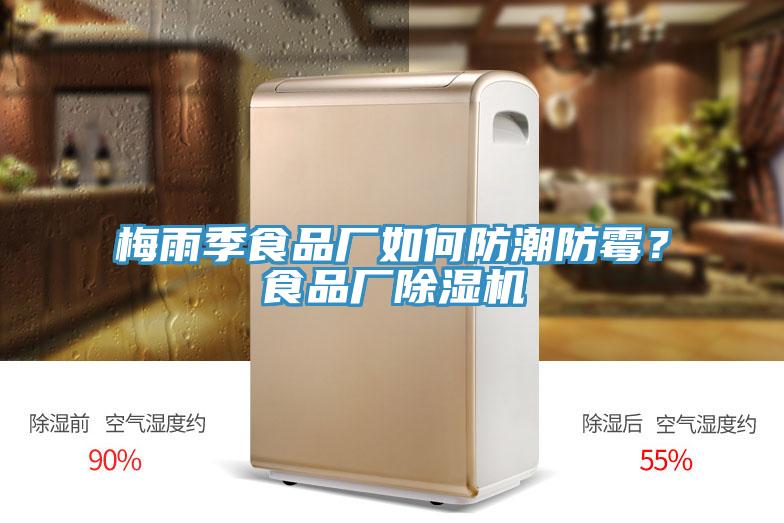 梅雨季食品廠如何防潮防霉?食品廠除濕機