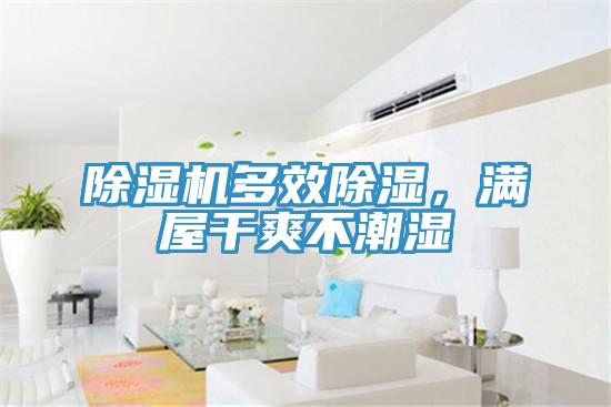 除濕機多效除濕,滿屋干爽不潮濕
