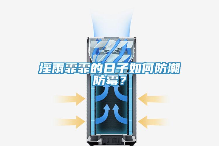 淫雨霏霏的日子如何防潮防霉？