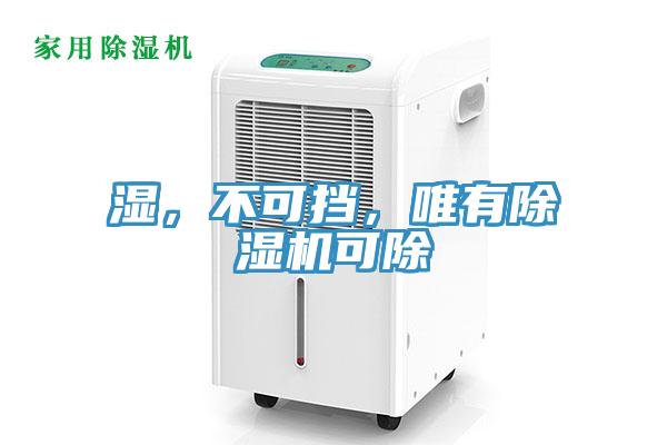 濕,不可擋,唯有除濕機可除