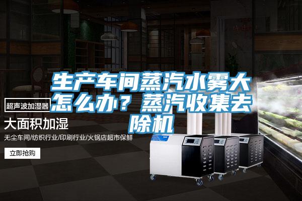 生產車間蒸汽水霧大怎么辦?蒸汽收集去除機
