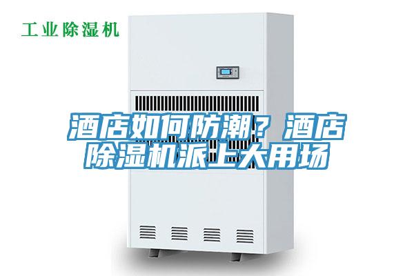 酒店如何防潮？酒店除濕機派上大用場