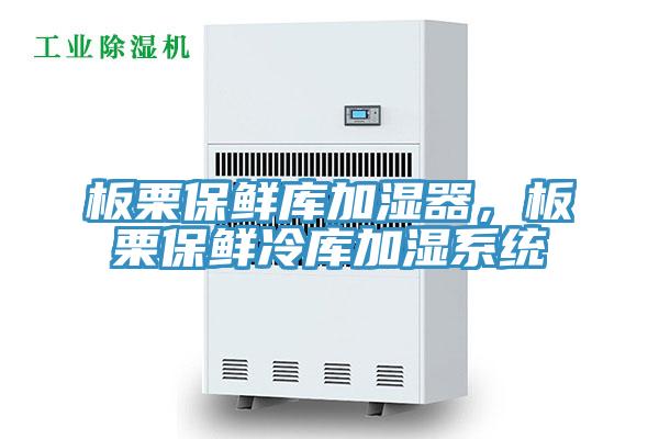 板栗保鮮庫加濕器，板栗保鮮冷庫加濕系統