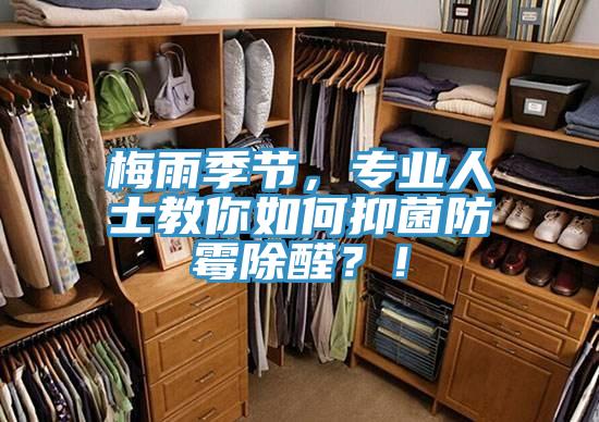 梅雨季節(jié)，專業(yè)人士教你如何抑菌防霉除醛？！