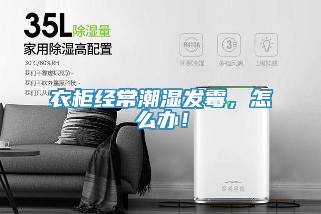 衣柜經常潮濕發霉,怎么辦!