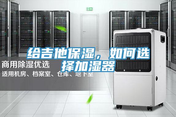 給吉他保濕,如何選擇加濕器