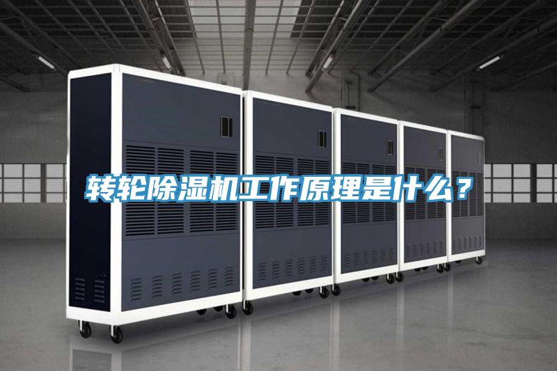 轉輪除濕機工作原理是什么?