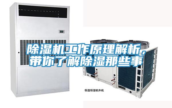 除濕機工作原理解析,帶你了解除濕那些事