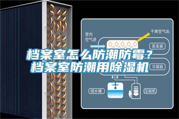 檔案室怎么防潮防霉?檔案室防潮用除濕機