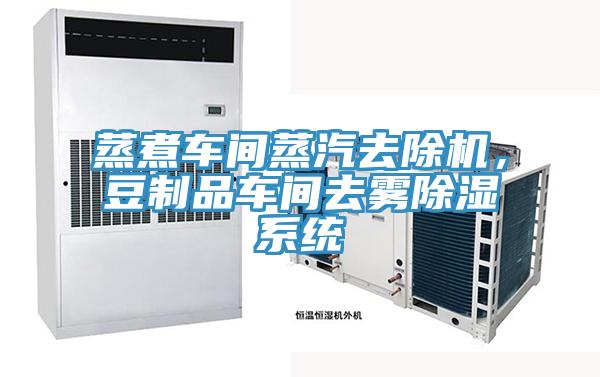 蒸煮車間蒸汽去除機(jī),豆制品車間去霧除濕系統(tǒng)