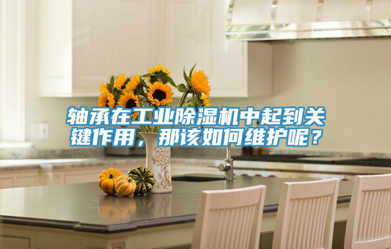 軸承在工業(yè)除濕機中起到關鍵作用，那該如何維護呢？