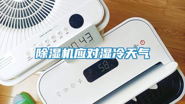 除濕機應對濕冷天氣