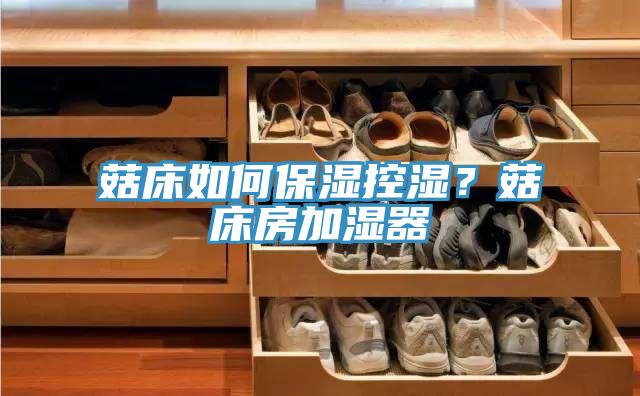 菇床如何保濕控濕?菇床房加濕器