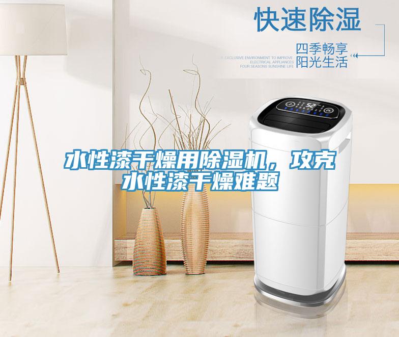 水性漆干燥用除濕機,攻克水性漆干燥難題