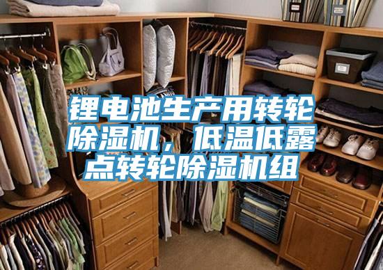 鋰電池生產用轉輪除濕機,低溫低露點轉輪除濕機組
