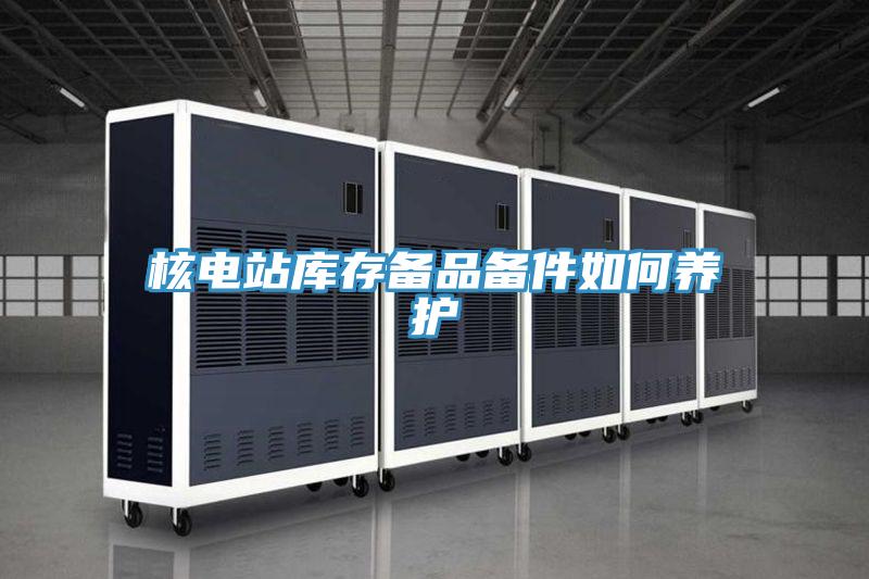 核電站庫存?zhèn)淦穫浼绾勿B(yǎng)護