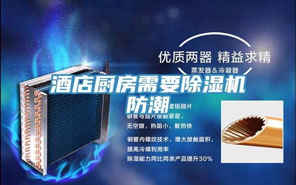 酒店廚房需要除濕機防潮