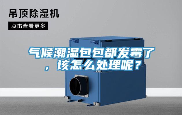 氣候潮濕包包都發(fā)霉了，該怎么處理呢？