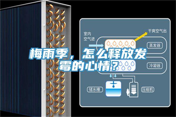 梅雨季,怎么釋放發霉的心情?